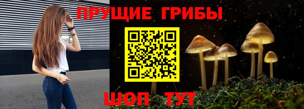 Псилоцибиновые грибы Cubensis Трёхгорный